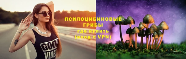 дмт Магадан