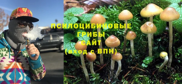 прущая мука Майский