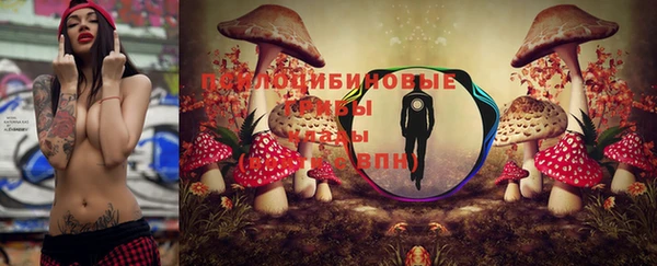 МДПВ Лихославль