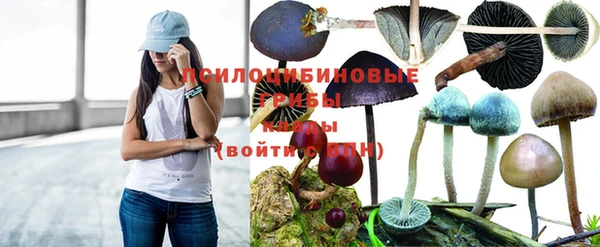 ПСИЛОЦИБИНОВЫЕ ГРИБЫ Алексеевка