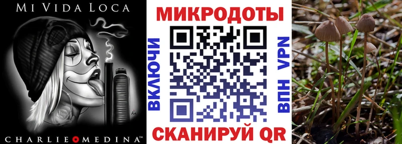 Псилоцибиновые грибы ЛСД  где найти наркотики  Западная Двина 